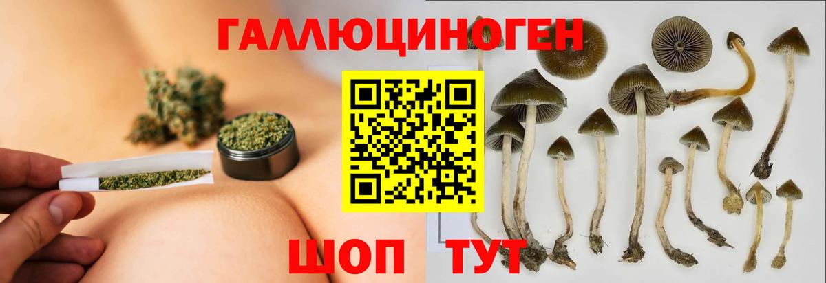 Кокаин  Гашиш  Балабаново  NBOMe  Конопля  Мефедрон кристаллы  Альфа ПВП СК кристаллы  Вход с VPN 
