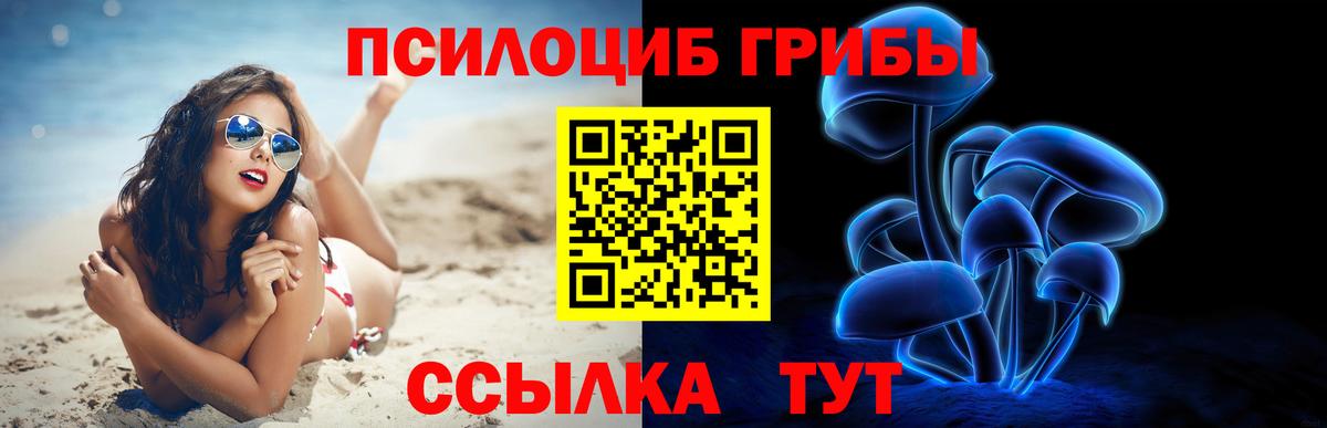 Галлюциногенные грибы Psilocybe  Вход с VPN  Балабаново 